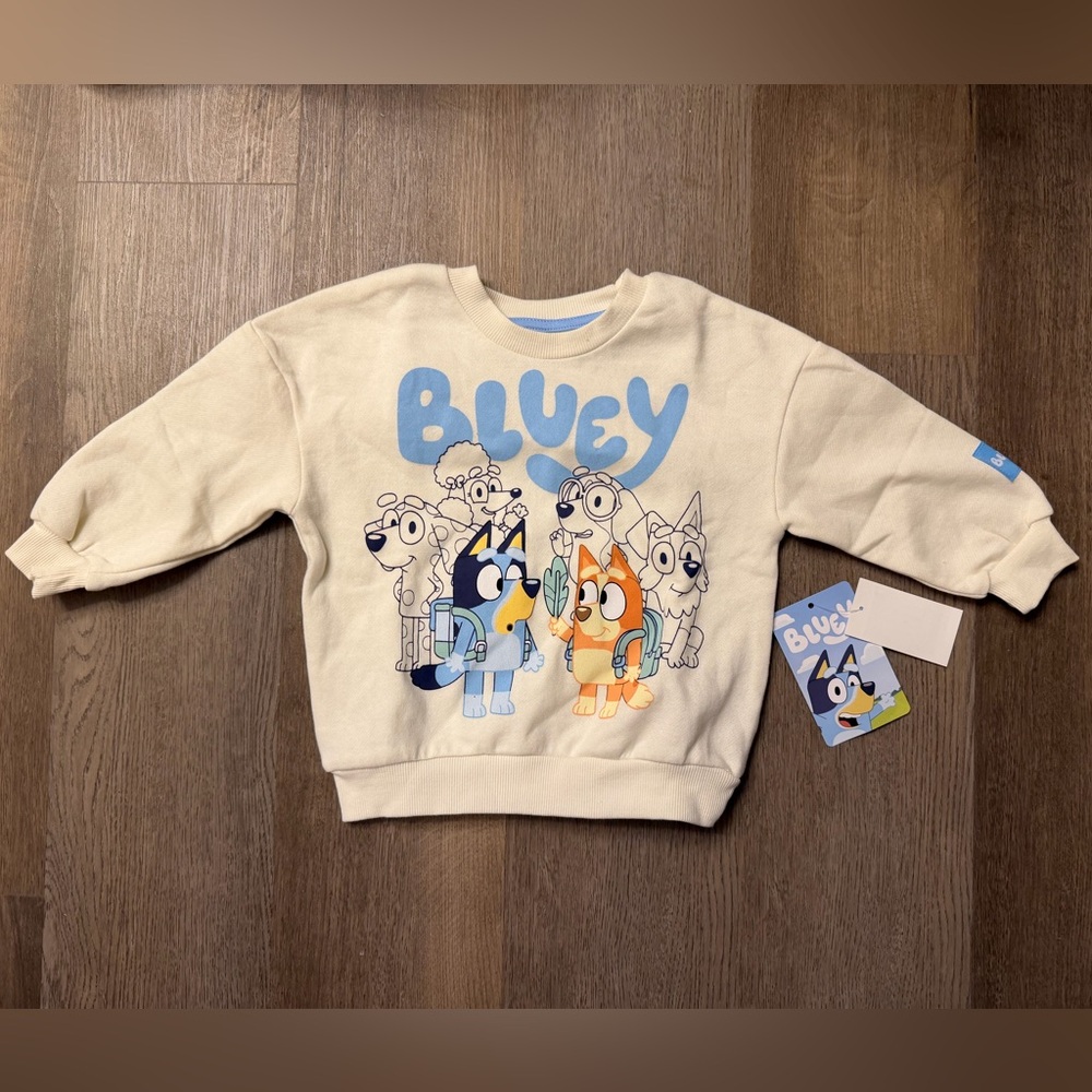 Bluey Graphic Sweatshirt Long Sleeves NEW 2T with Bingo